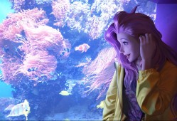 长沙麻将怎么玩/长沙麻将怎么玩才赢